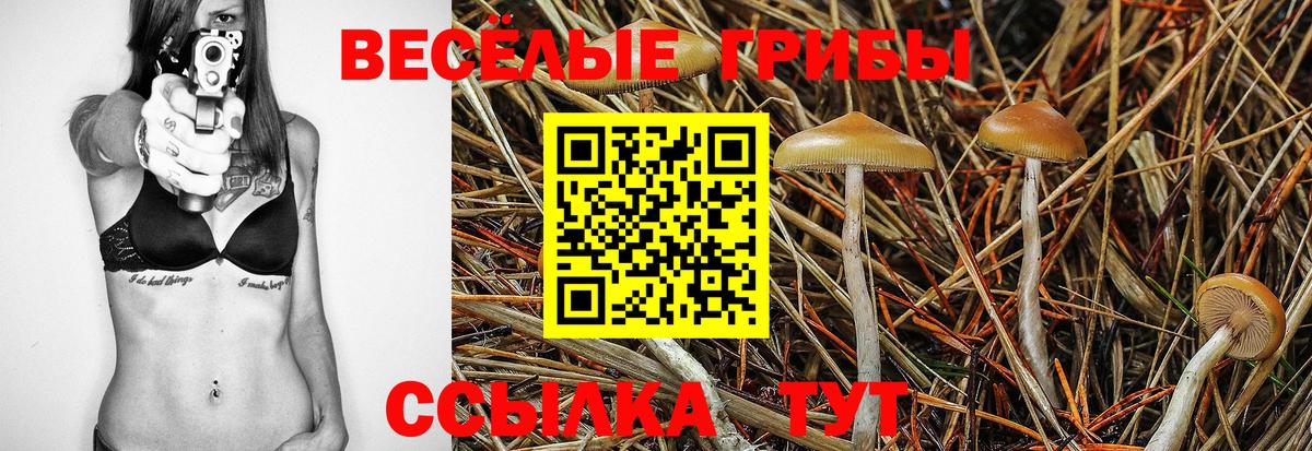 Галлюциногенные грибы MAGIC MUSHROOMS Сорочинск